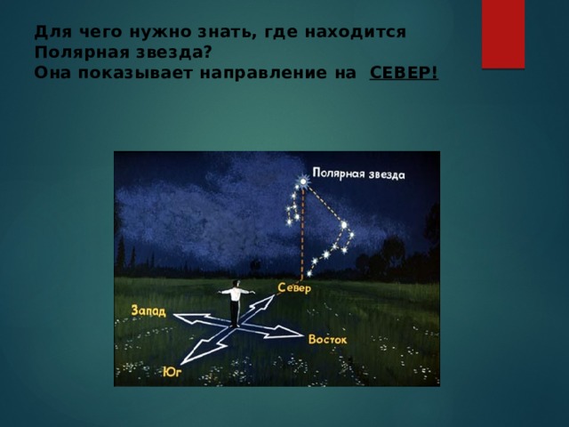 Где будет полярная звезда через 6 часов. Полярная звезда показывает направление на Север. Направление на полярную звезду совпадает с направлением. Полярная звезда на севере. Показать полярную звезду.