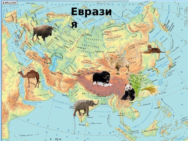Евразия Евразия 