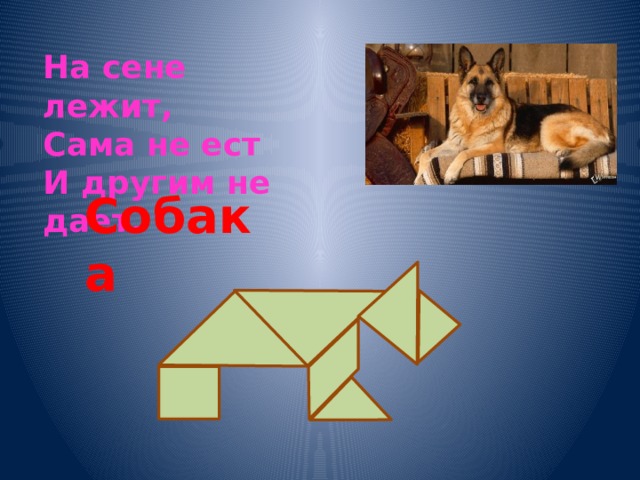 На сене лежит, Сама не ест И другим не дает. Собака 