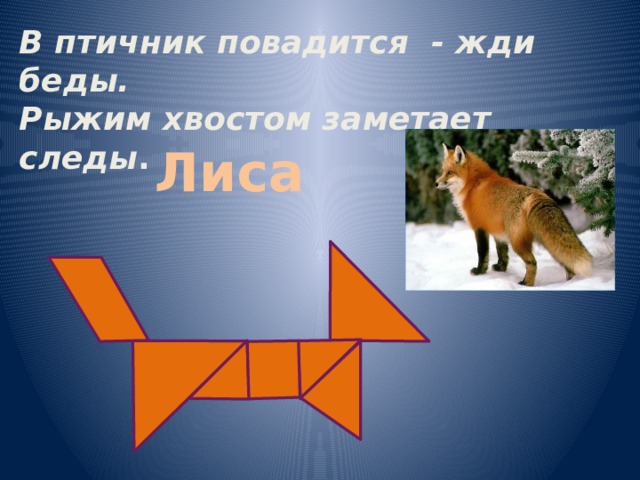 В птичник повадится - жди беды. Рыжим хвостом заметает следы . Лиса 