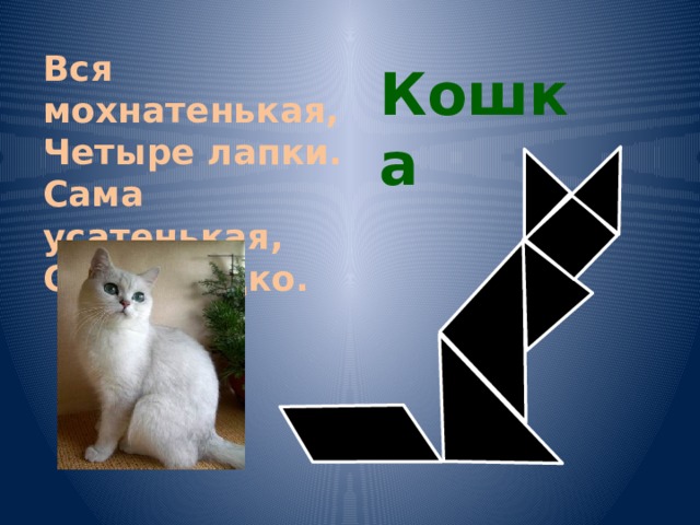 Вся мохнатенькая, Четыре лапки. Сама усатенькая, Спит сладко. Кошка 