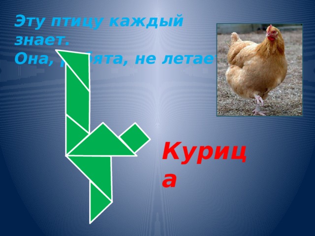 Эту птицу каждый знает. Она, ребята, не летает. Курица 