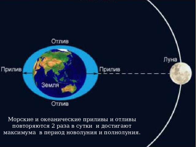 Морские и океанические приливы и отливы повторяются 2 раза в сутки и достигают максимума в период новолуния и полнолуния. 