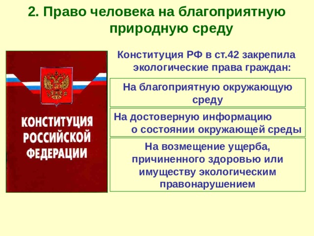 Система гарантий права человека и гражданина на благоприятную окружающую среду схема