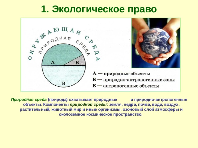 Изобразите в виде схемы соотношение понятий природные ресурсы и природная среда