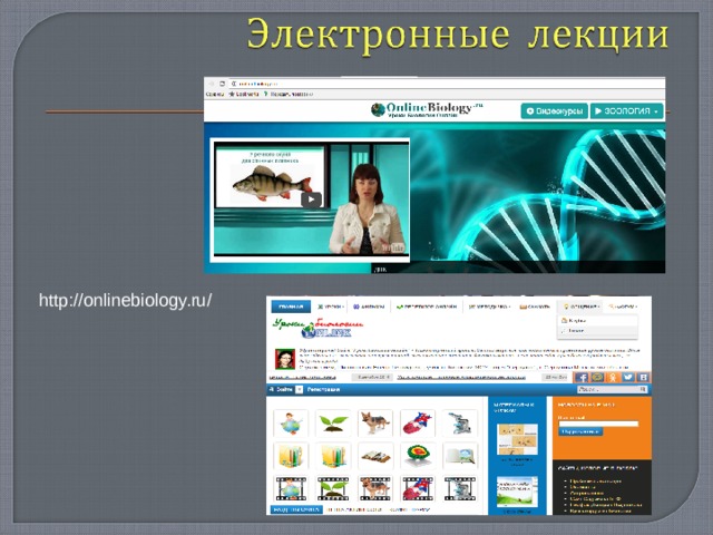 http://onlinebiology.ru/ 
