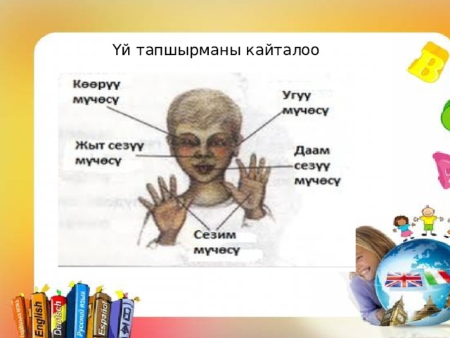  У Үй тапшырманы кайталоо 