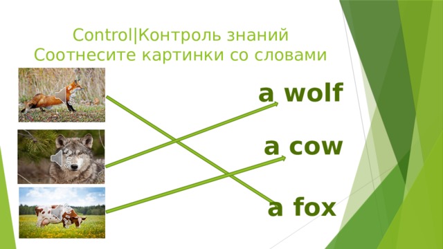 Control|Контроль знаний  Соотнесите картинки со словами a  wolf  a  cow  a  fox  