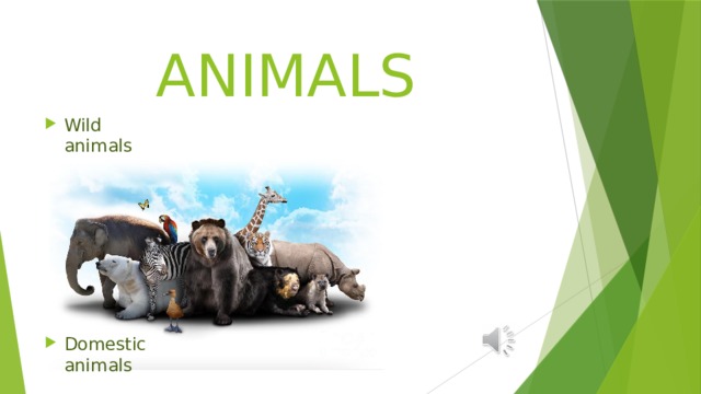 ANIMALS Wild  animals Domestic  animals 