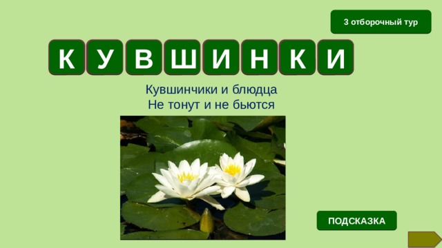 Кувшинчики и блюдца не тонут. Кувшинчики и блюдца не тонут и не бьются ответ на загадку. Кувшинки и блюдца не тонут и не бьются ответ. Кувшинчики и блюдца не тонут и не бьются отгадка.