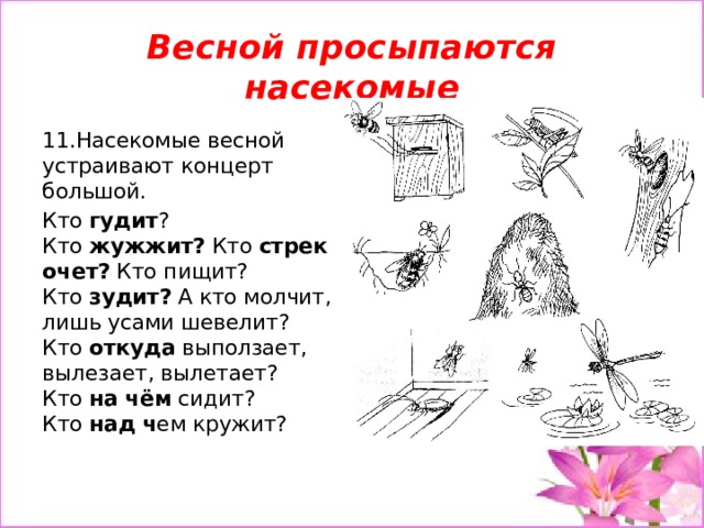 Весной просыпаются насекомые 11.Насекомые весной устраивают концерт большой. Кто  гудит ? Кто  жужжит?  Кто  стрекочет?  Кто пищит?  Кто  зудит?  А кто молчит, лишь усами шевелит?  Кто  откуда  выползает, вылезает, вылетает?  Кто  на чём  сидит? Кто  над ч ем кружит?    
