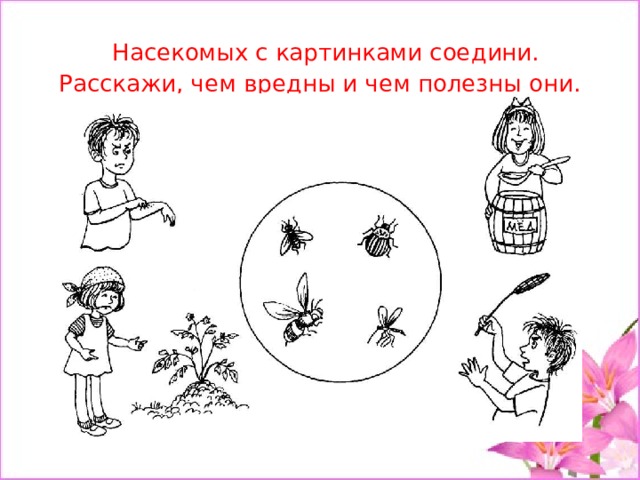   Насекомых с картинками соедини.  Расскажи, чем вредны и чем полезны они. 