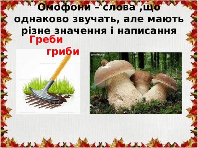 Омофони – слова ,що однаково звучать, але мають різне значення і написання Греби гриби  
