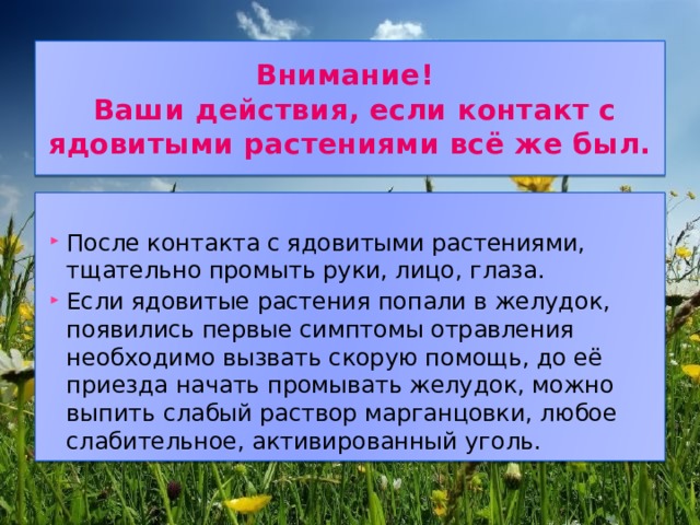 Внимание!  Ваши действия, если контакт с ядовитыми растениями всё же был. После контакта с ядовитыми растениями, тщательно промыть руки, лицо, глаза. Если ядовитые растения попали в желудок, появились первые симптомы отравления необходимо вызвать скорую помощь, до её приезда начать промывать желудок, можно выпить слабый раствор марганцовки, любое слабительное, активированный уголь. 
