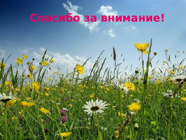  Спасибо за внимание! 