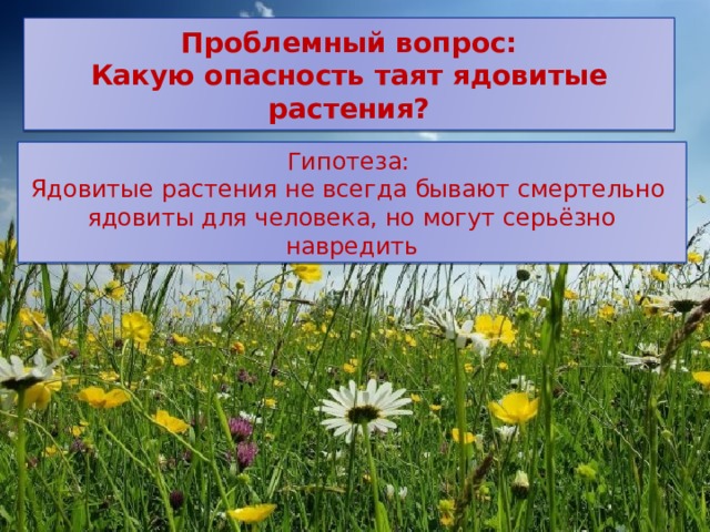 Проблемный вопрос:  Какую опасность таят ядовитые растения? Гипотеза: Ядовитые растения не всегда бывают смертельно ядовиты для человека, но могут серьёзно навредить 