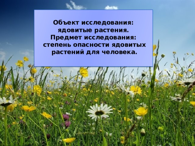  Объект исследования:  ядовитые растения.  Предмет исследования:  степень опасности ядовитых  растений для человека.   