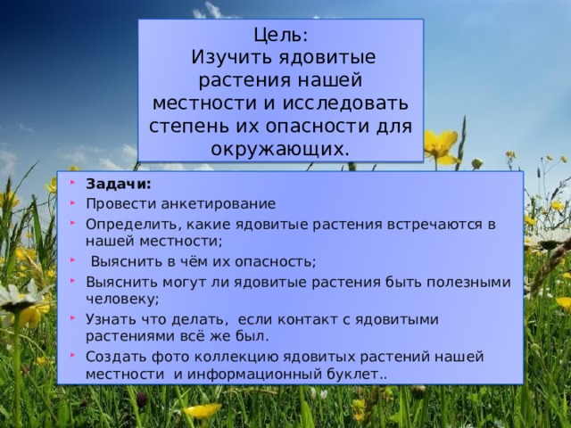   Цель:  Изучить ядовитые растения нашей местности и исследовать степень их опасности для окружающих. Задачи: Провести анкетирование Определить, какие ядовитые растения встречаются в нашей местности;  Выяснить в чём их опасность; Выяснить могут ли ядовитые растения быть полезными человеку; Узнать что делать, если контакт с ядовитыми растениями всё же был. Создать фото коллекцию ядовитых растений нашей местности и информационный буклет.. 
