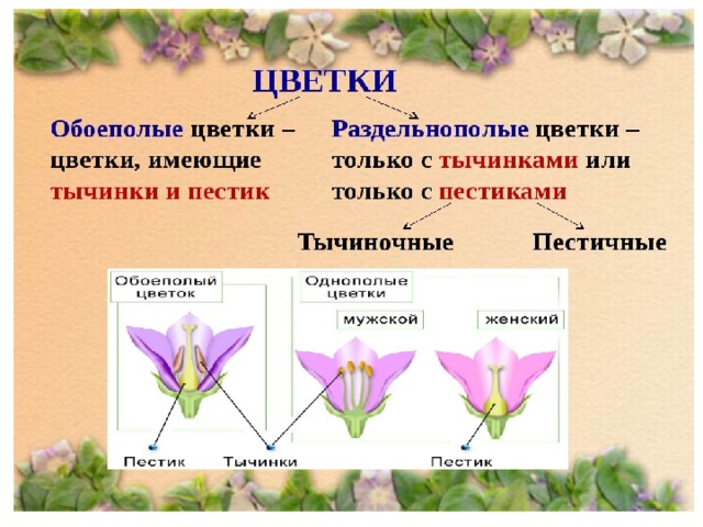 Какие словосочетания имеют одинаковое строение подчеркни их допиши схему их строения цветок розы