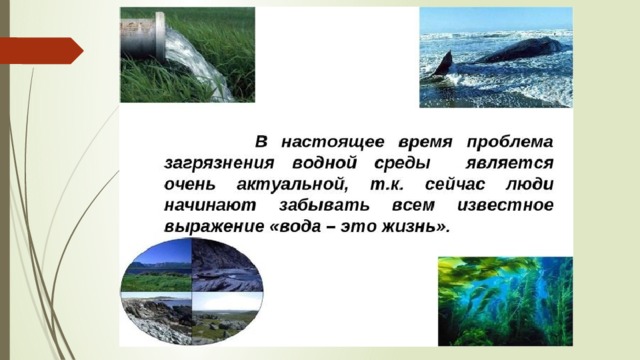 Пример загрязнения воды в россии Леонова Марина группа км17-1