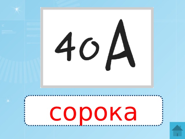 сорока 