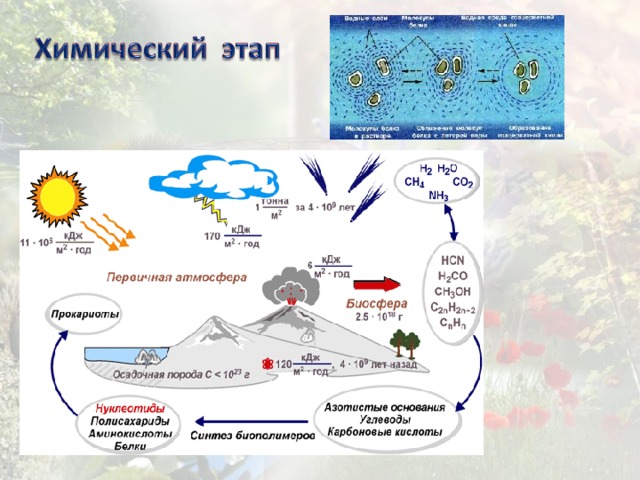 Схема биохимической эволюции