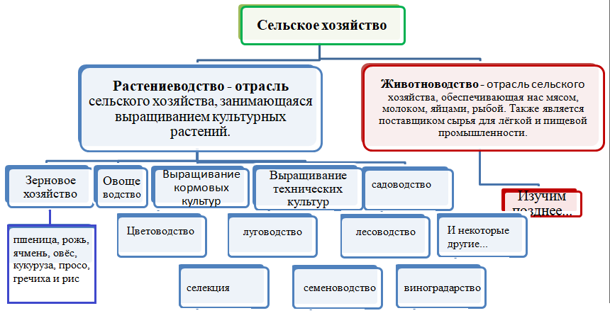 Культура практическая работа