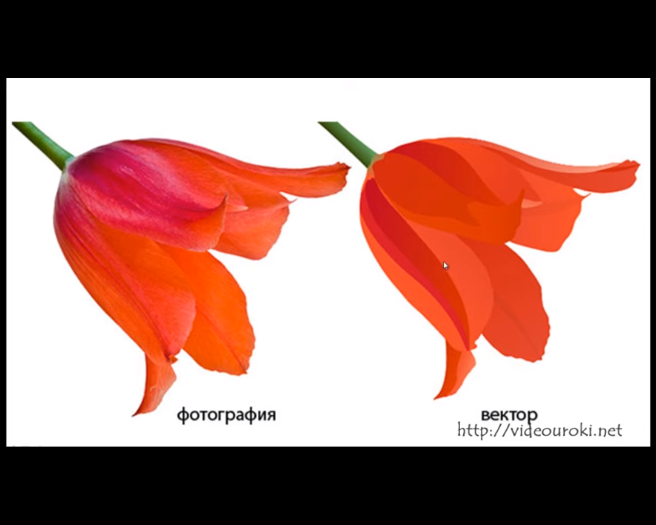 Растровое изображение в векторное. Картинки растровые и векторные. Растровая и Векторная Графика. Растровая и Векторная Графика примеры. Пример растрового и векторного изображения.