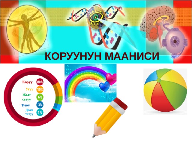 Коруунун мааниси Коруу  Угуу  Жыт сезуу Туюу  Даам татуу 