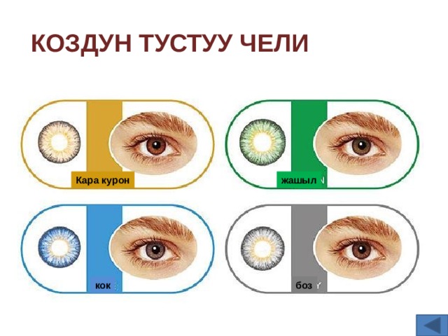 Коздун тустуу чели Кара курон жашыл кок боз 