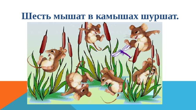 Шесть мышей. Шесть мышат в камышах шуршат. Шесть мышат в камышах. Рисунок мышата в камышах. Скороговорка шесть мышат.