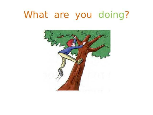 What are you doing ? 