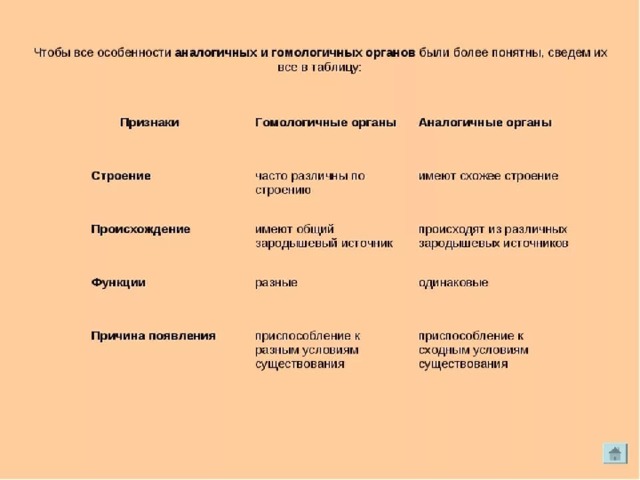 Функции аналогичных органов