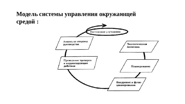 Руководящий документ по системе управления охраной окружающей среды образец