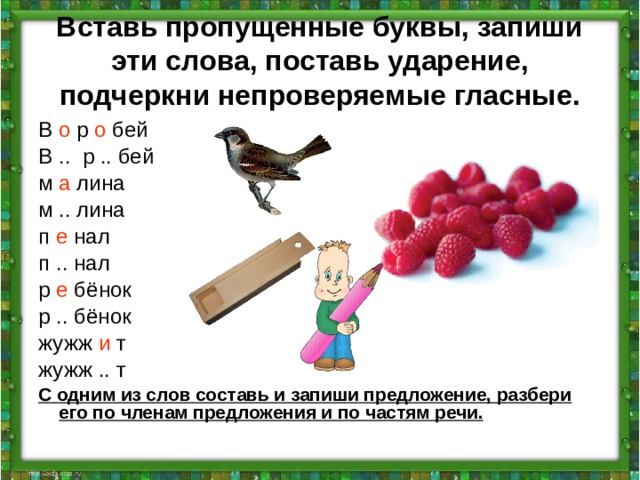Вставь пропущенные буквы, запиши эти слова, поставь ударение, подчеркни непроверяемые гласные. В о р о бей В .. р .. бей м а лина м .. лина п е нал п .. нал р е бёнок р .. бёнок жужж и т жужж .. т С одним из слов составь и запиши предложение, разбери его по членам предложения и по частям речи. 