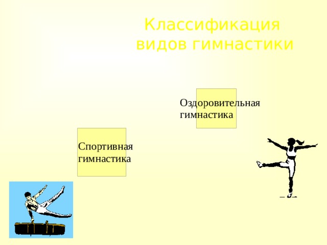 Классификация видов гимнастики 