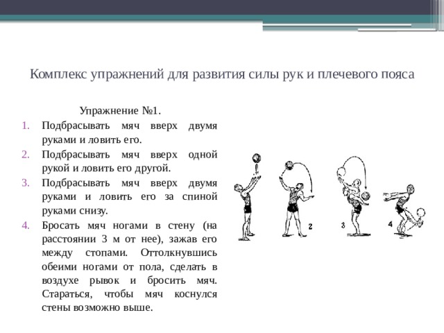 Комплекс упражнений для развития силы презентация