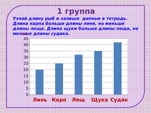 1 группа Узнай длину рыб и запиши данные в тетрадь. Длина карпа больше длины линя, но меньше длины леща. Длина щуки больше длины леща, но меньше длины судака.  см Лещ Щука Карп Линь Судак 