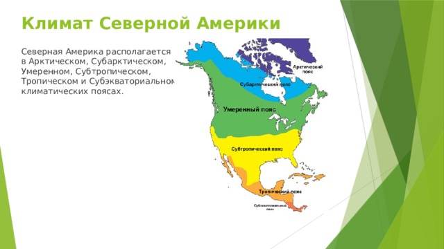 Тайга расположена в умеренном поясе северного полушария. Карта климатических поясов Северной Америки.