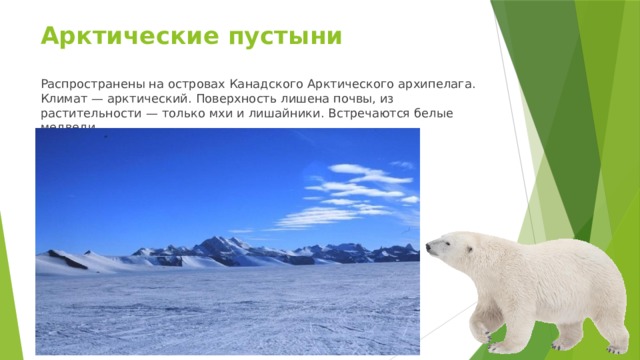 Арктические пустыни Распространены на островах Канадского Арктического архипелага. Климат — арктический. Поверхность лишена почвы, из растительности — только мхи и лишайники. Встречаются белые медведи. 