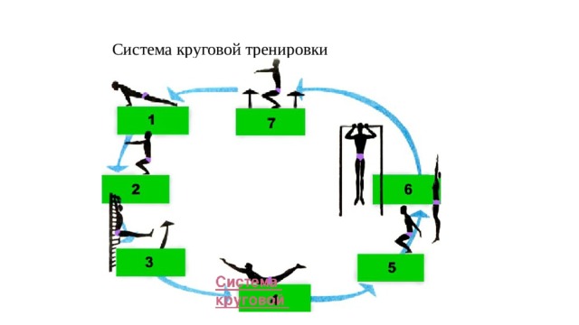  Система круговой тренировки    
