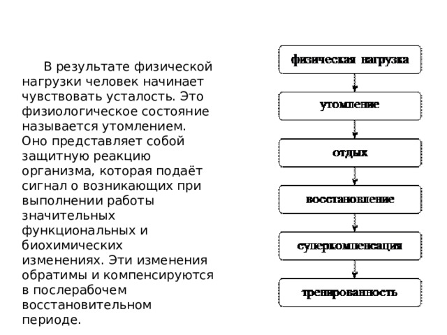  В результате физической нагрузки человек начинает чувствовать усталость. Это физиологическое состояние называется утомлением.  Оно представляет собой защитную реакцию организма, которая подаёт сигнал о возникающих при выполнении работы значительных функциональных и биохимических изменениях. Эти изменения обратимы и компенсируются в послерабочем восстановительном периоде.  