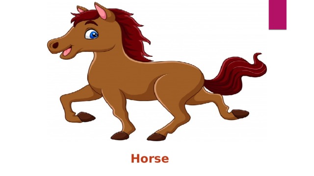 Horse 
