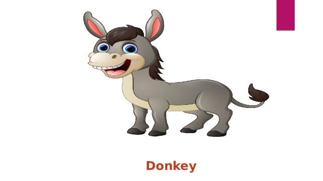 Donkey 