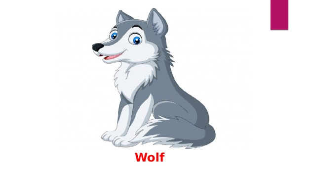 Wolf 