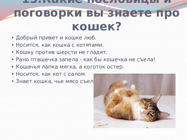 Поглажена против шерсти картинки