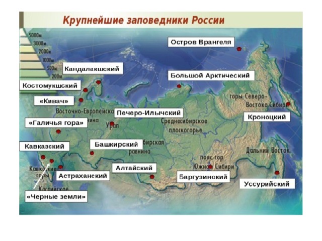 Презентация по теме Заповедные места России