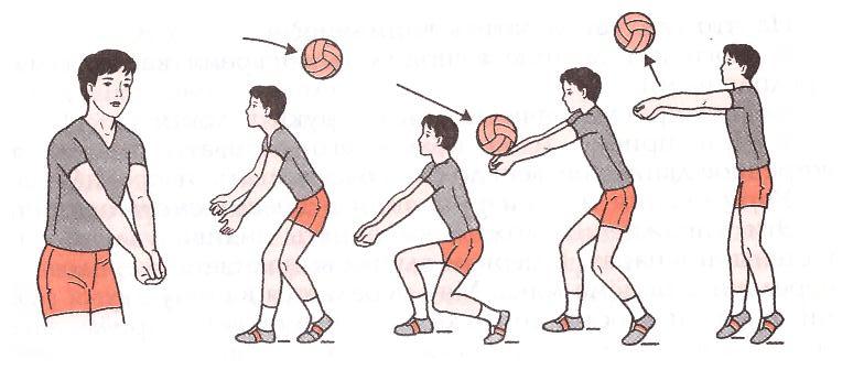 Нижняя подача прием мяча снизу. Приём мяча снизу 2 руками в волейболе. Прием и передача мяча снизу в волейболе. Приём мяча снизу приём подачи в волейболе. Техника передачи мяча двумя руками снизу в волейболе.