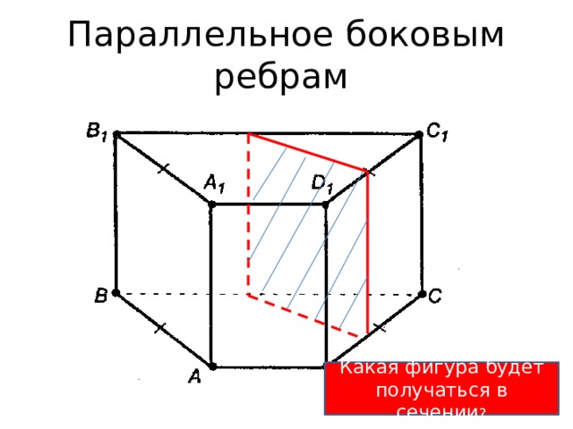 Параллельное боковым ребрам Какая фигура будет получаться в сечении ? 