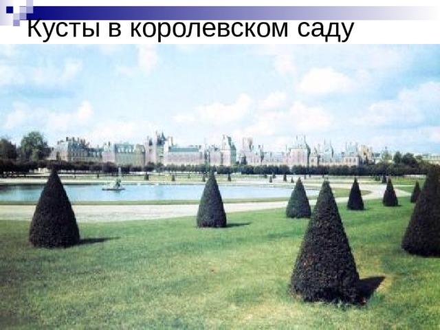 Кусты в королевском саду 